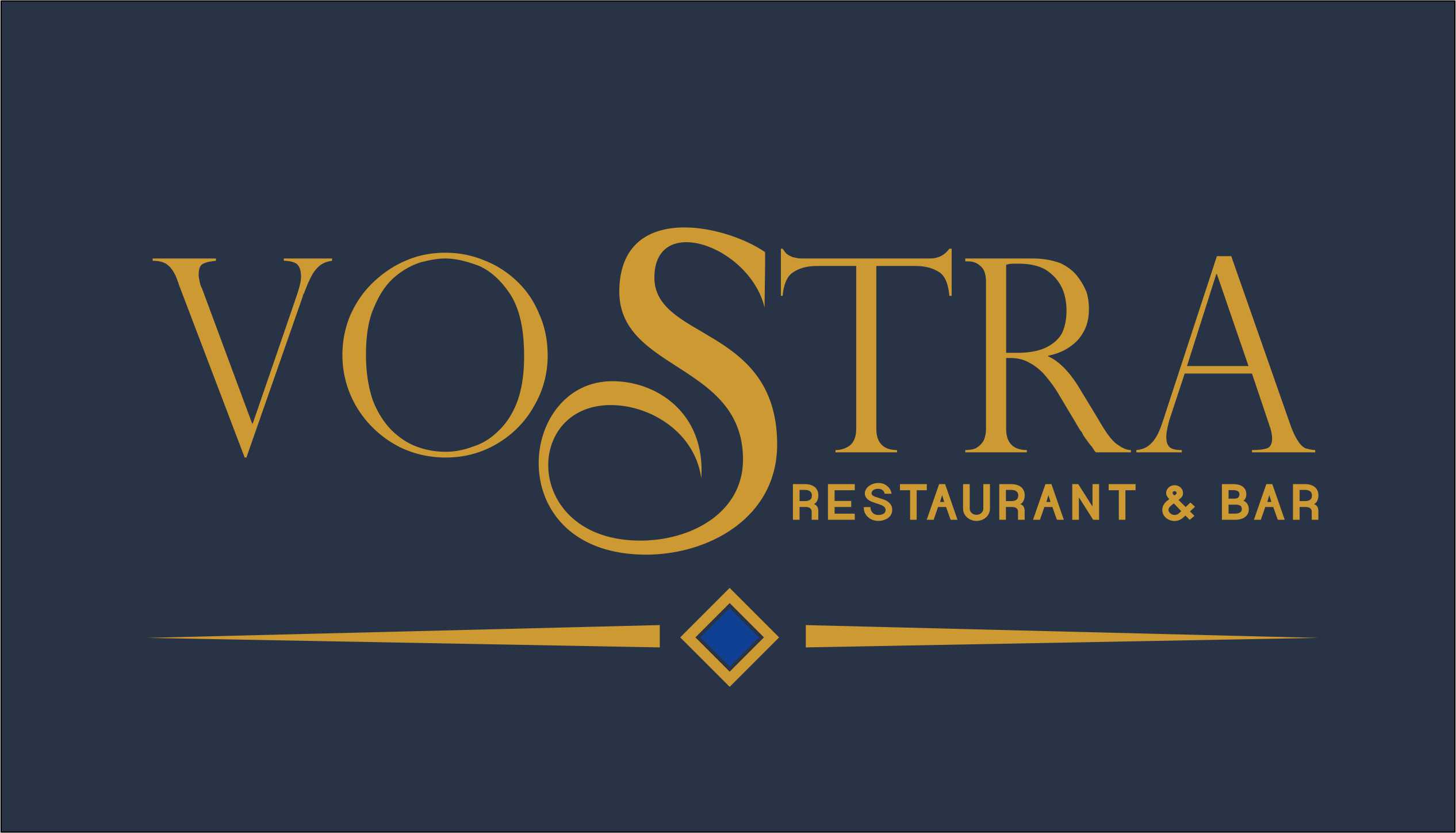 Vostra 2026 (3)
